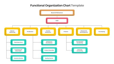 Example of Functional Organizational Chart Template