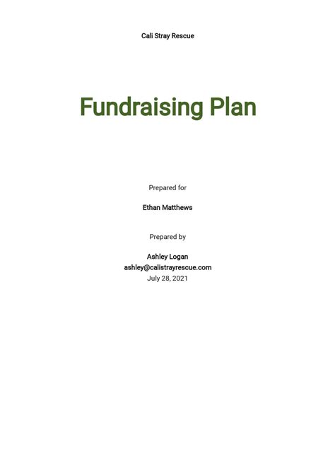 Fundraising Plan Template Word 3