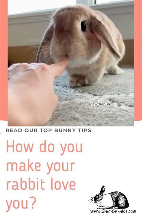 Funky Bunny Tips and Tricks