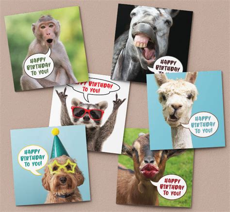 Funny animal birthday card