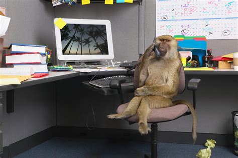 Funny Monkey Desk Pet Printable