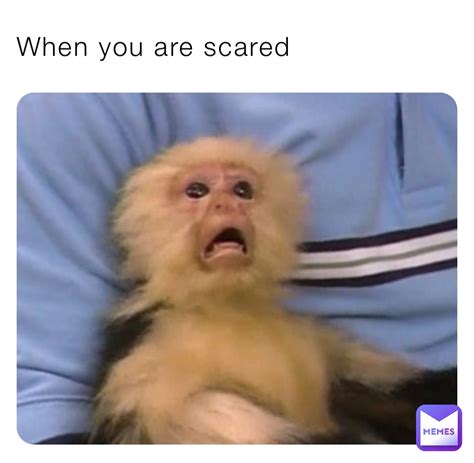 A meme of a scared face with a funny caption