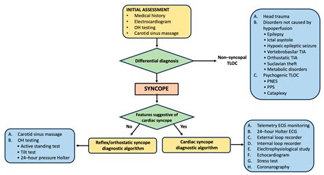 Future Directions for Syncope Seizure Disorder Research