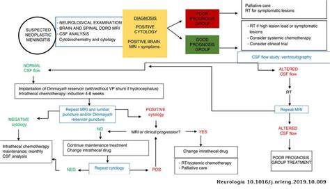 Future Directions in Meningitis Supportive Therapy