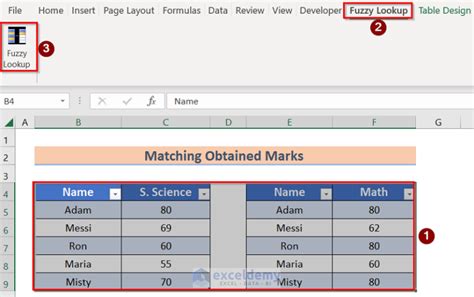 Fuzzy Lookup Add-In Examples 98765