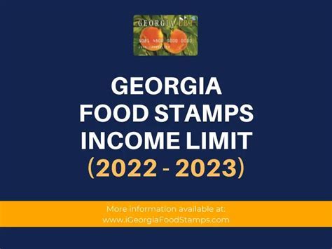 GA Food Stamps Non-Profit