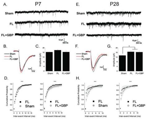 Gabapentin Frequency