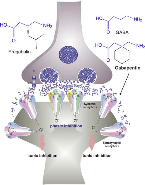 Gabapentin Interactions