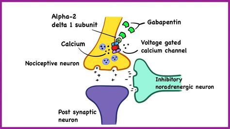 Gabapentin ATi medication