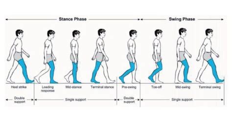 Gait Analysis