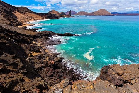 Sea turtles in the Galapagos Marine Reserve