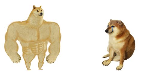 Gao vs Doge