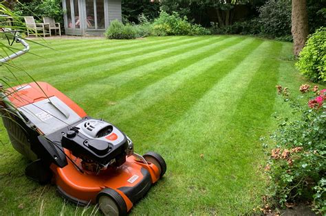 A gardener maintaining a garden