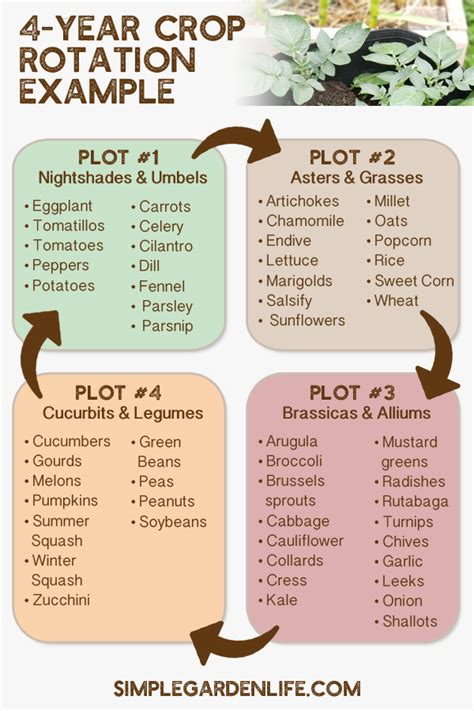 Garden Rotation Planner