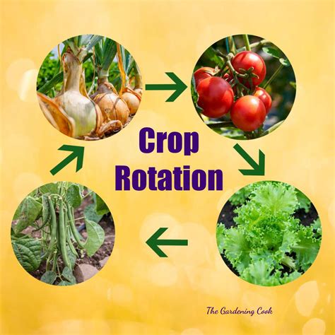 Garden Rotation Template