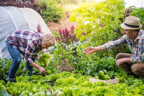 Gardening as Therapy