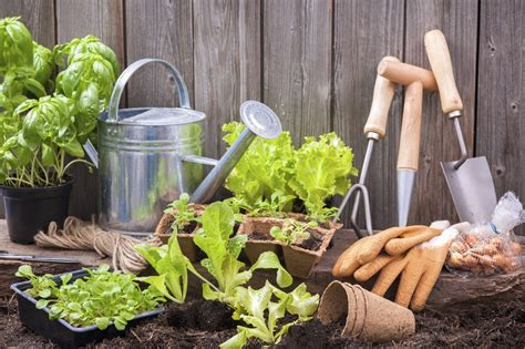 Gardening for Health