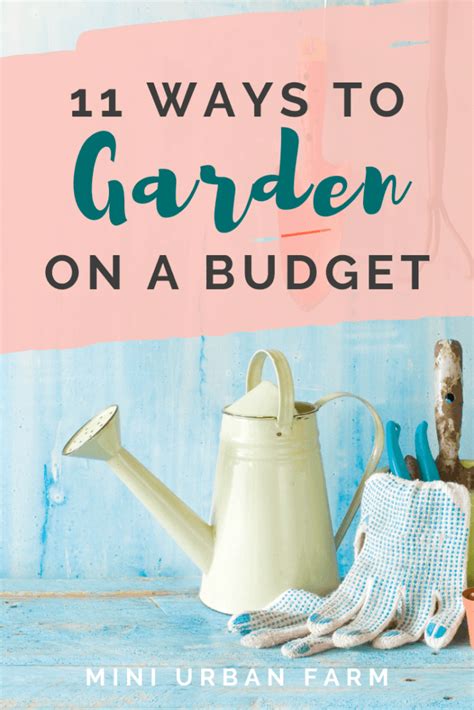 Gardening on a Budget