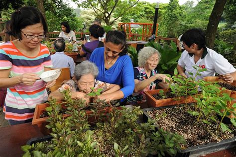 Gardening Therapy