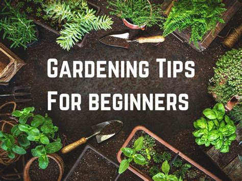 Gardening Tips