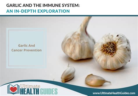 Garlic and cancer prevention