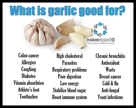 Garlic and digestive health