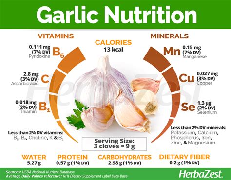 Garlic nutrition