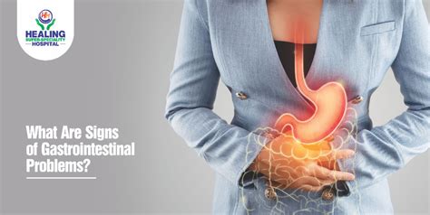 Description of Gastrointestinal Issues