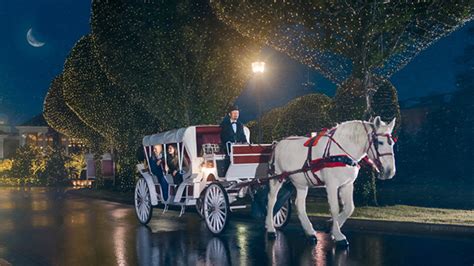 Gaylord Opryland Horse-Drawn Carriage