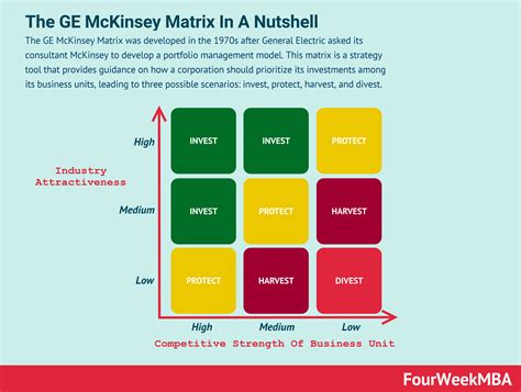 GE McKinsey Matrix Analysis