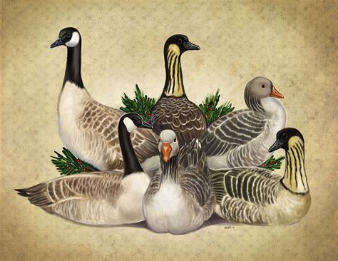 Six Geese a-Laying