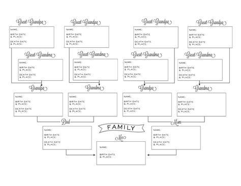 Genealogy Chart Template