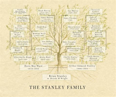 Genealogy Family Tree