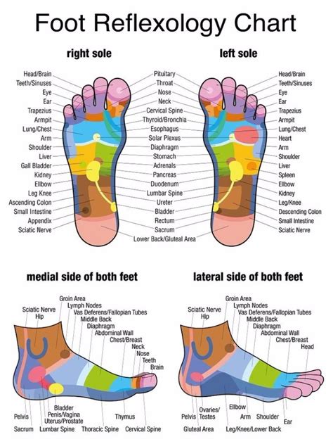 General purpose foot chart