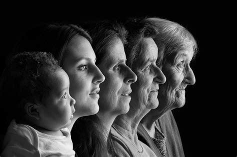 Generation portraits for multiple generations