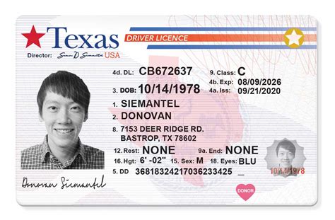 Generic Drivers Licence Template