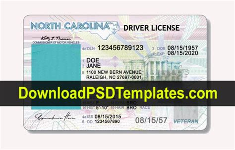 Generic Drivers Licence Template