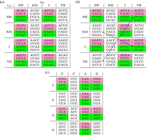 Genetic Code