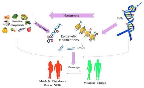 Genetic Methyl Testing and Nutrition