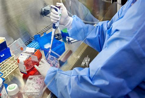 A geneticist conducting research in a laboratory