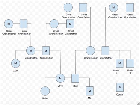 Genogram Benefits