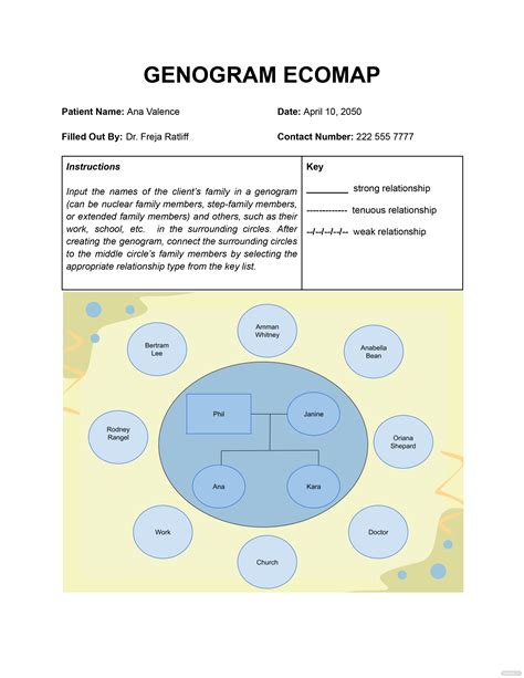 Genogram and Ecomap Template Software