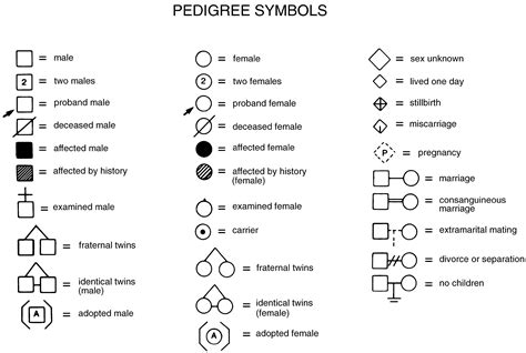 Genogram symbols and notations