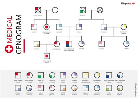 Example of a genogram template