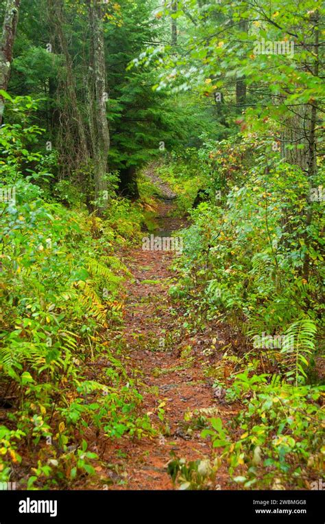 Hiking trails in George Washington Management Area