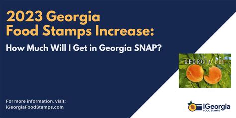 Georgia food stamp changes