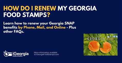 Georgia Food Stamp Frequently Asked Questions