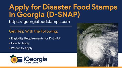 Georgia Food Stamps Emergency Situation Image 4