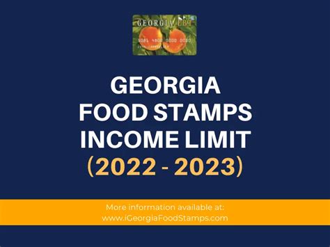 Georgia Food Stamps Income Limits