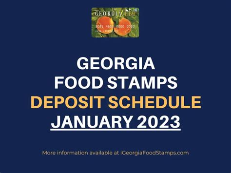 Georgia Food Stamps Payment